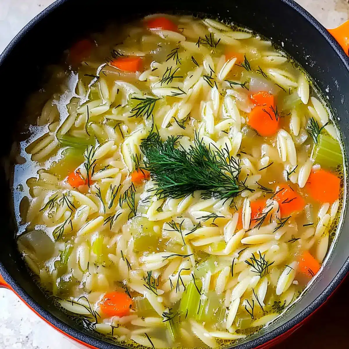 Orzo, Leek and Dill Soup
